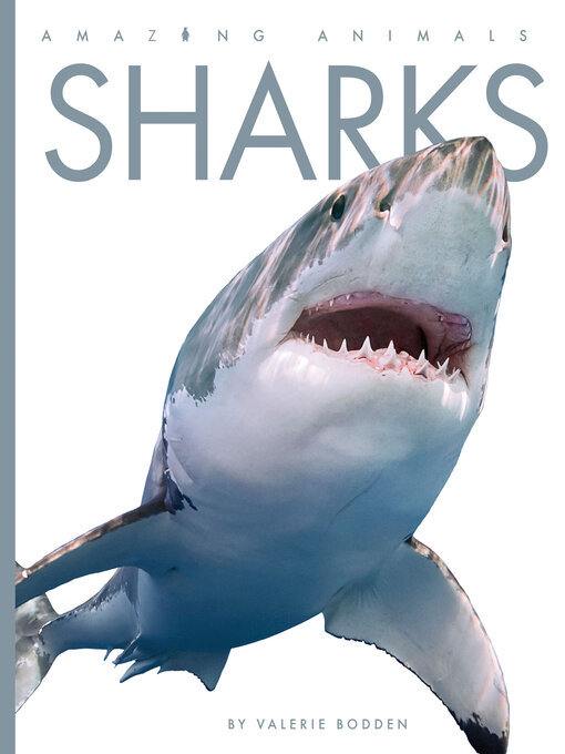 Title details for Sharks by Valerie Bodden - Available